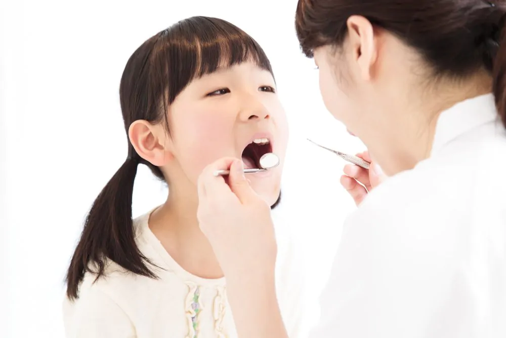 2期治療（永久歯が生えそろった時期）